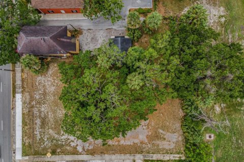 Land in Tampa, Florida № 1782537 - photo 11
