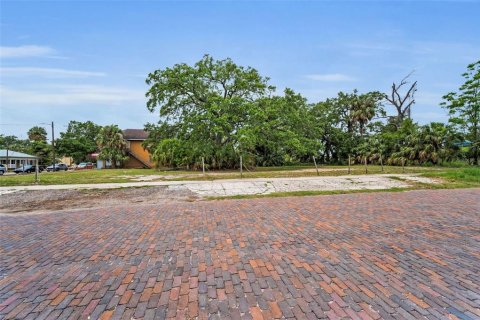 Land in Tampa, Florida № 1782537 - photo 6