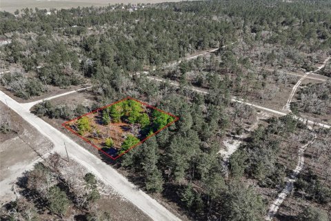 Land in Williston, Florida № 2162191