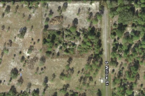 Terrain à Clewiston, Floride № 2032623