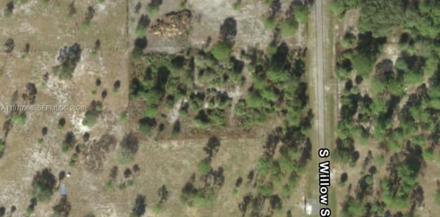 Terrain à Clewiston, Floride № 2032623