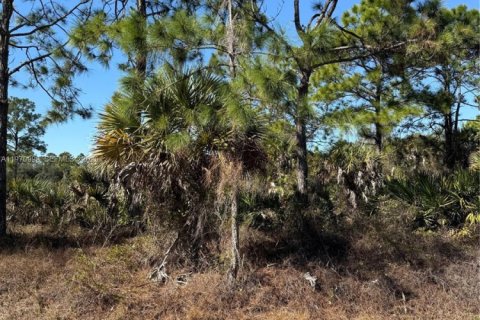 Terrain à vendre à Clewiston, Floride № 2032623 - photo 11