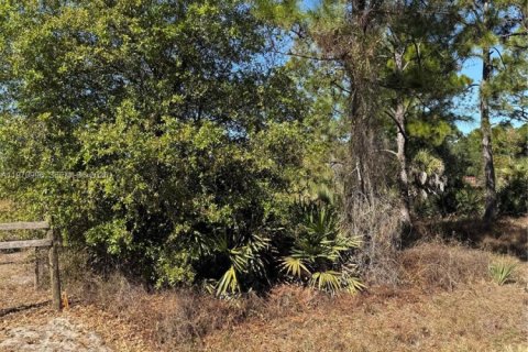 Terrain à vendre à Clewiston, Floride № 2032623 - photo 5
