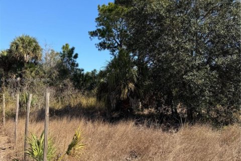 Terrain à vendre à Clewiston, Floride № 2032623 - photo 14