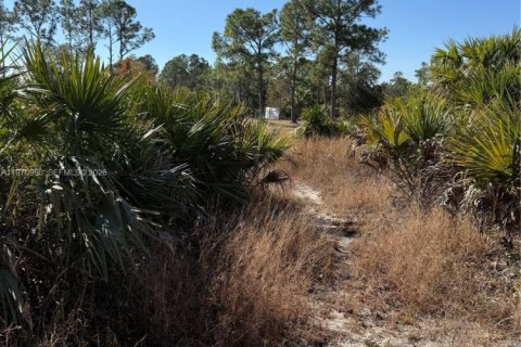 Terrain à vendre à Clewiston, Floride № 2032623 - photo 18