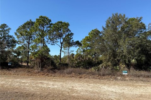Terrain à vendre à Clewiston, Floride № 2032623 - photo 8