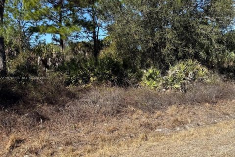 Terrain à vendre à Clewiston, Floride № 2032623 - photo 7