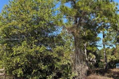 Terrain à vendre à Clewiston, Floride № 2032623 - photo 6