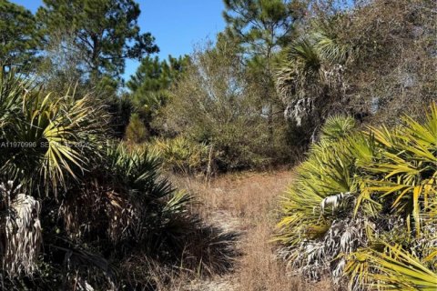 Terrain à vendre à Clewiston, Floride № 2032623 - photo 15