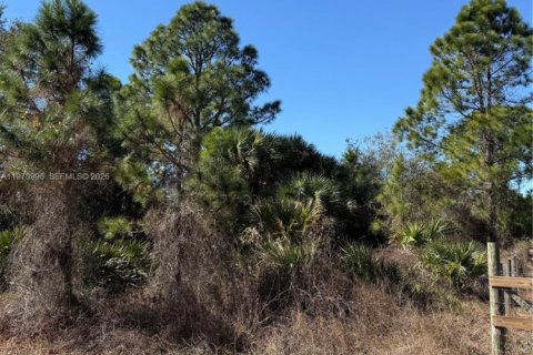 Terrain à vendre à Clewiston, Floride № 2032623 - photo 4