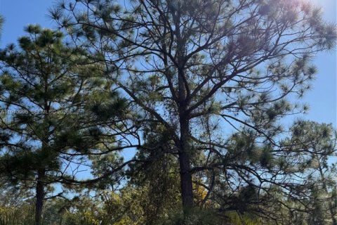 Terrain à vendre à Clewiston, Floride № 2032623 - photo 17