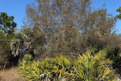 Terrain à vendre à Clewiston, Floride № 2032623 - photo 16