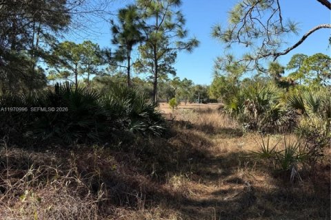 Terrain à vendre à Clewiston, Floride № 2032623 - photo 10
