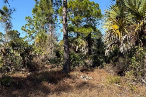 Terrain à vendre à Clewiston, Floride № 2032623 - photo 9