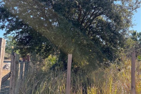 Terrain à vendre à Clewiston, Floride № 2032623 - photo 13