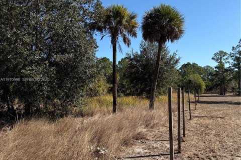 Terrain à vendre à Clewiston, Floride № 2032623 - photo 3