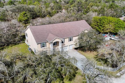 Casa en venta en Weeki Wachee, Florida, 5 dormitorios, 840.77 m2 № 1843893 - foto 4