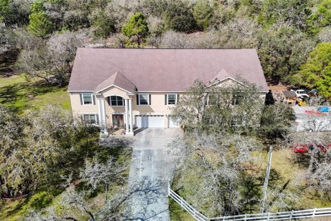 Casa en venta en Weeki Wachee, Florida, 5 dormitorios, 840.77 m2 № 1843893 - foto 5
