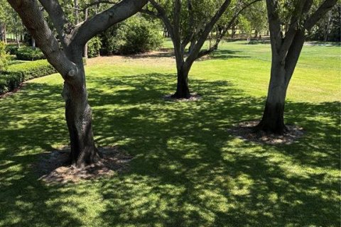 Condo in Palm Harbor, Florida, 1 bedroom  № 1602590 - photo 9