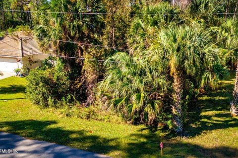 Land in Palm Coast, Florida № 862977 - photo 1