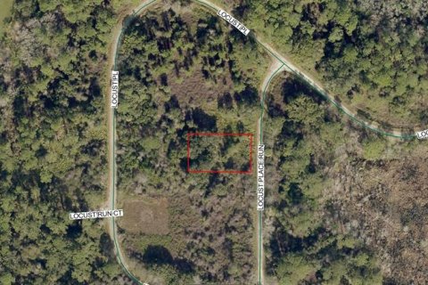 Land in Ocala, Florida № 2161566 - photo 2