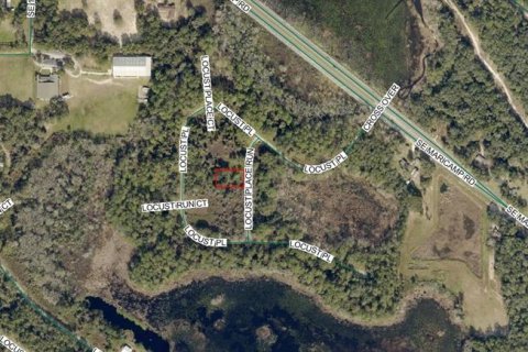 Land in Ocala, Florida № 2161566 - photo 3