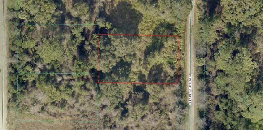 Land in Ocala, Florida № 2161566