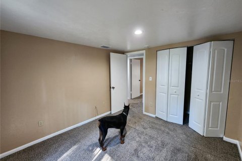 Touwnhouse à louer à Gainesville, Floride: 2 chambres, 90.58 m2 № 2405549 - photo 17
