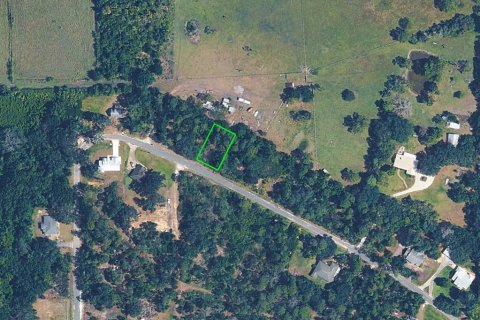 Land in Lake Placid, Florida № 2161497 - photo 2