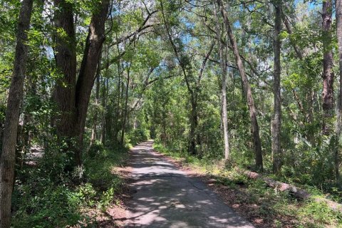 Land in Gainesville, Florida № 2312486