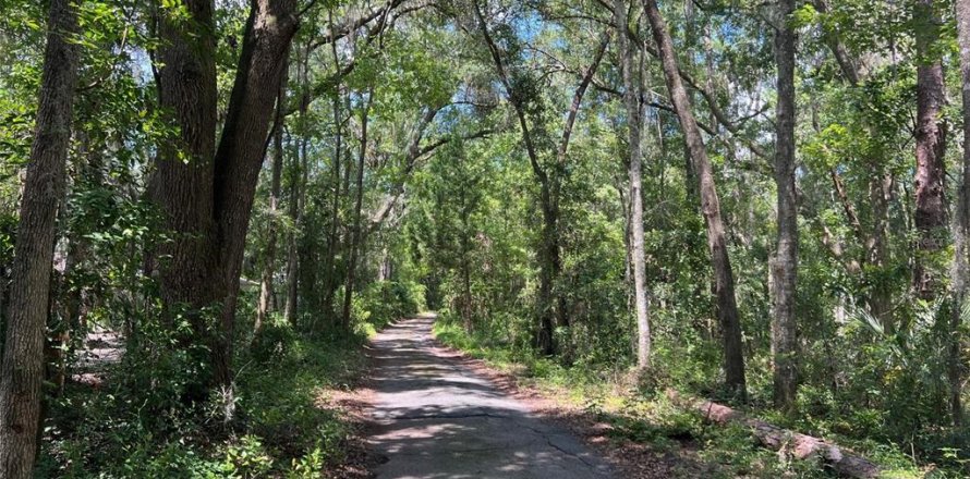 Terrain à Gainesville, Floride № 2312486
