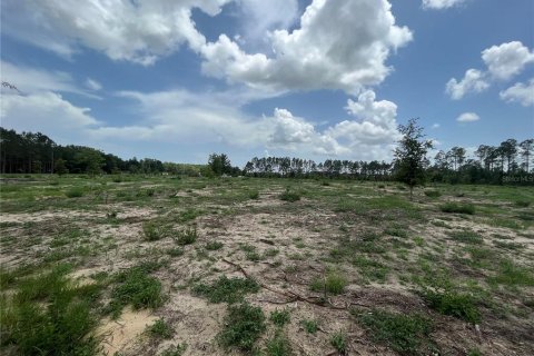Land in Weirsdale, Florida № 1773724 - photo 9