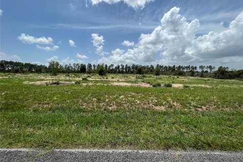 Land in Weirsdale, Florida № 1773724 - photo 1