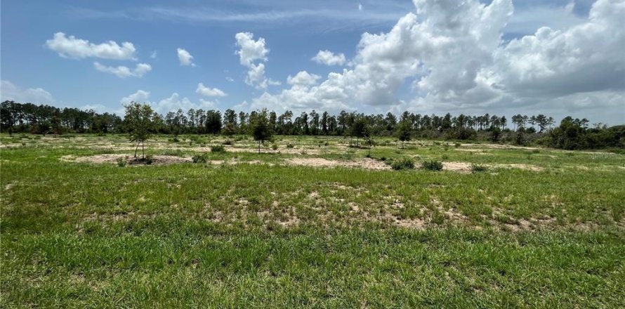Land in Weirsdale, Florida № 1773724