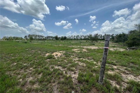 Land in Weirsdale, Florida № 1773724 - photo 8