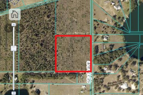 Land in Weirsdale, Florida № 1773724 - photo 2