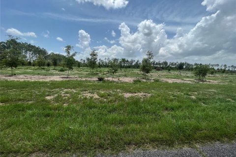Land in Weirsdale, Florida № 1773724 - photo 6