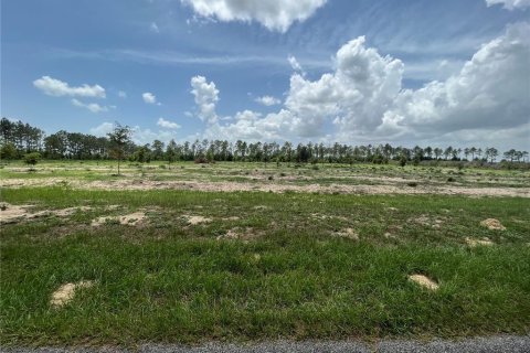 Land in Weirsdale, Florida № 1773724 - photo 7