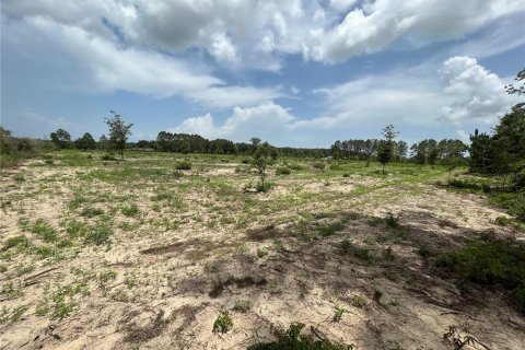 Land in Weirsdale, Florida № 1773724 - photo 10