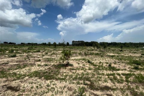 Land in Weirsdale, Florida № 1773724 - photo 11