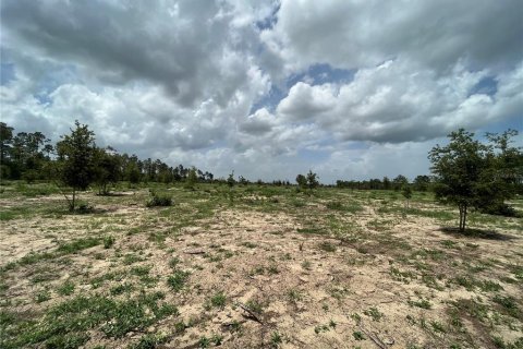 Land in Weirsdale, Florida № 1773724 - photo 14