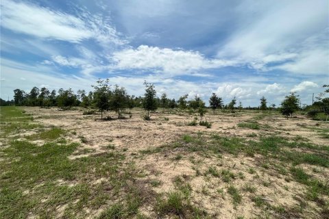 Land in Weirsdale, Florida № 1773724 - photo 5