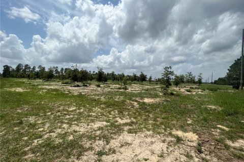 Land in Weirsdale, Florida № 1773724 - photo 15