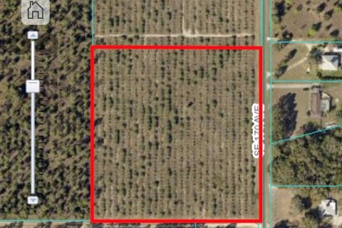 Land in Weirsdale, Florida № 1773724 - photo 3