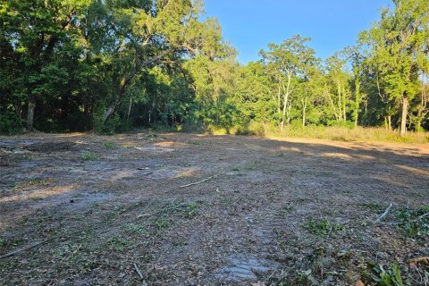 Land in Brooksville, Florida № 1751054 - photo 5