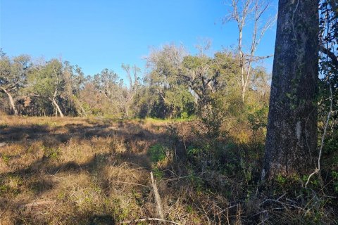 Land in Brooksville, Florida № 1751054 - photo 2