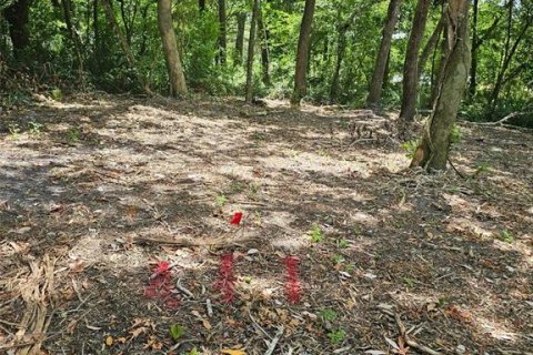 Land in Brooksville, Florida № 1751054 - photo 10