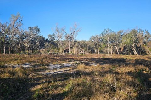 Land in Brooksville, Florida № 1751054 - photo 1