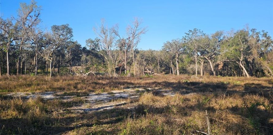 Land in Brooksville, Florida № 1751054