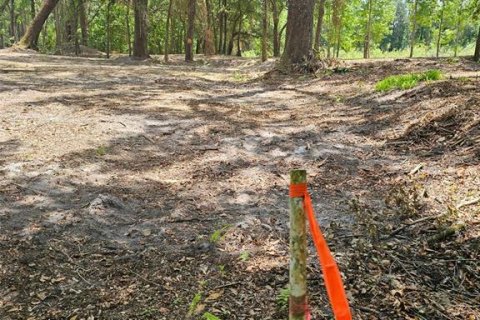 Land in Brooksville, Florida № 1751054 - photo 8